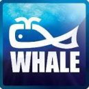 Whale Enterprise Private Limited